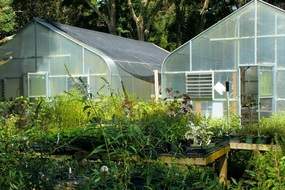 Greenhouse sunny day